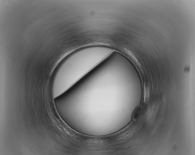 X0000090890435200707271042