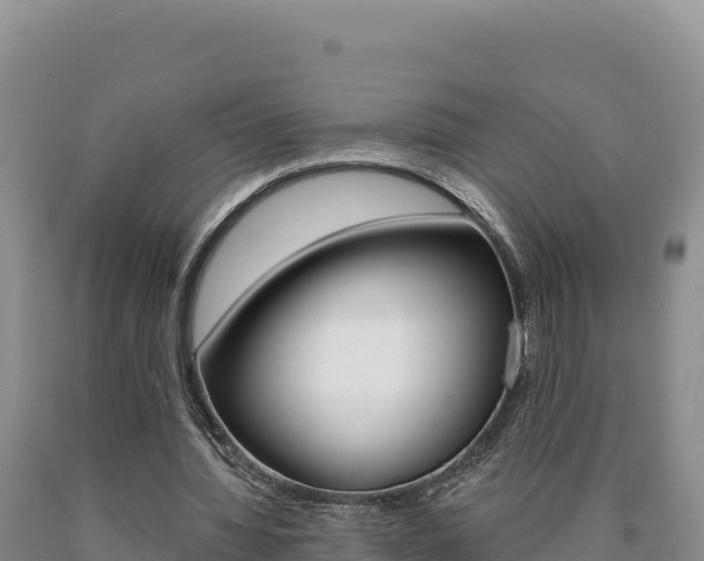 X0000090890436200707271042