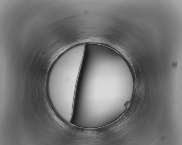 X0000090890437200707271042