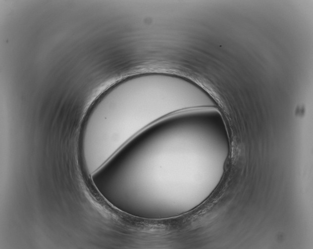 X0000090890438200707271042