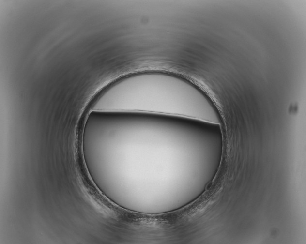 X0000090890439200707271042