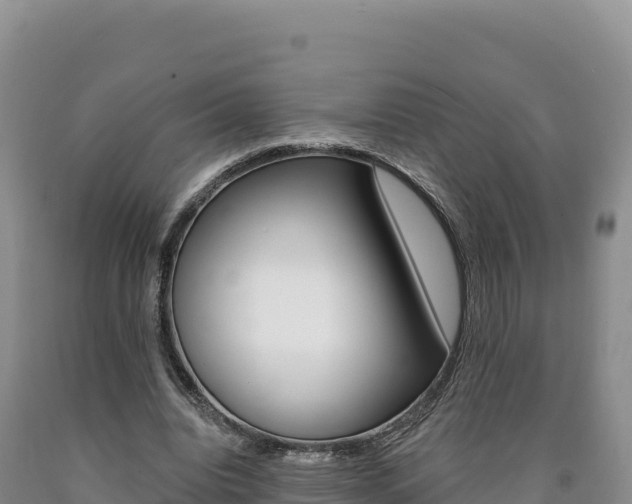 X0000090890440200707271042