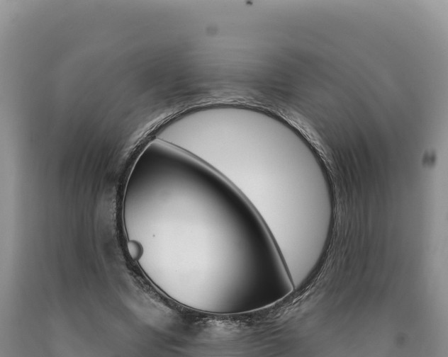 X0000090890442200707271042