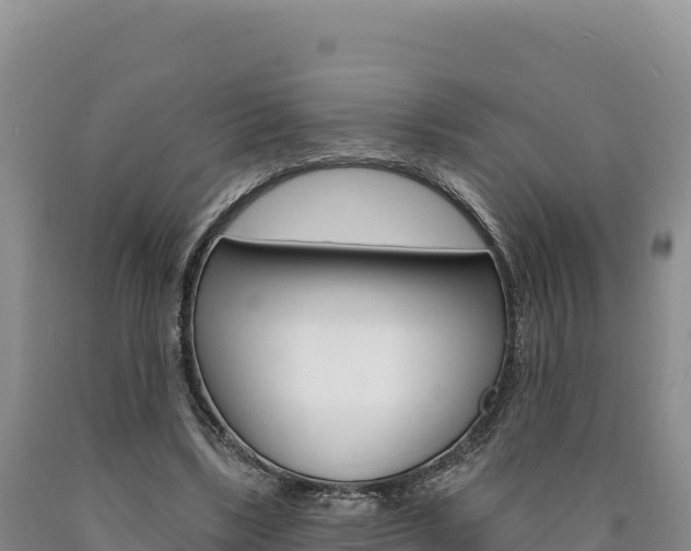 X0000090890443200707271042