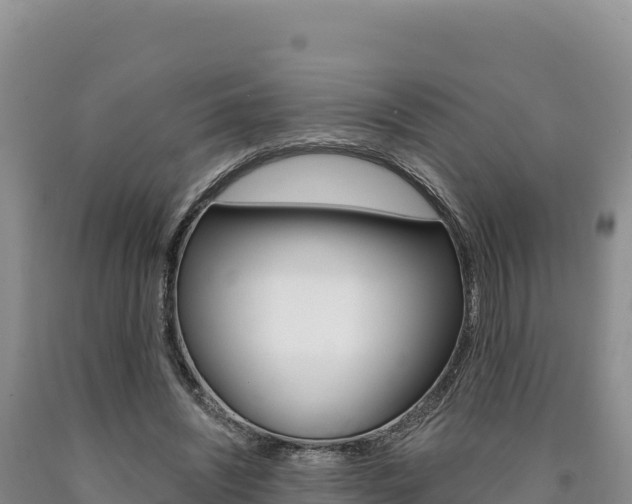 X0000090890444200707271042