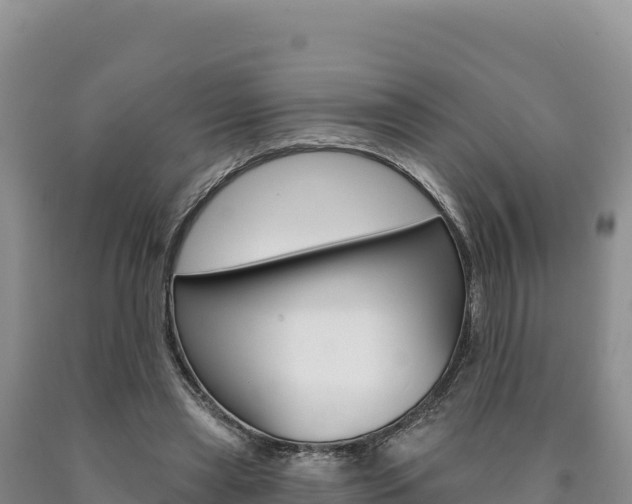 X0000090890445200707271042
