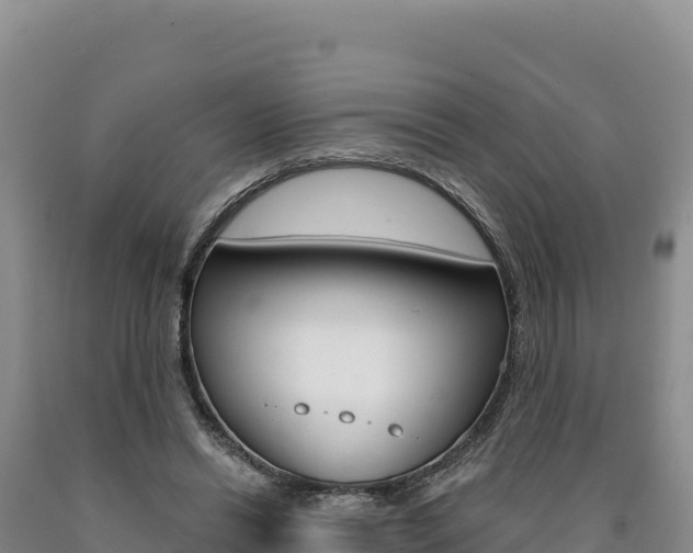 X0000090890446200707271042