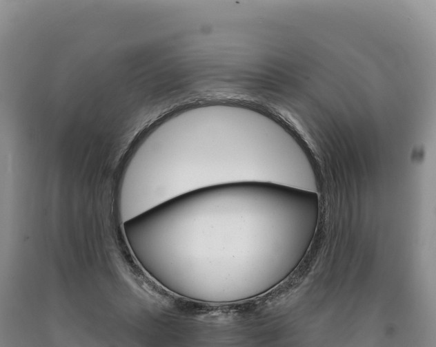 X0000090890447200707271042