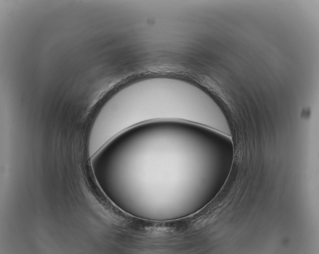 X0000090890448200707271042