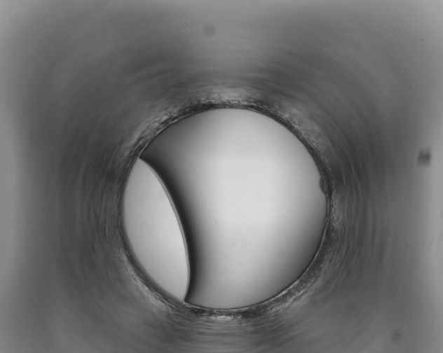 X0000090890449200707271042