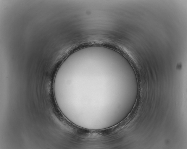 X0000090890451200707271042