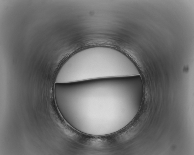 X0000090890453200707271042