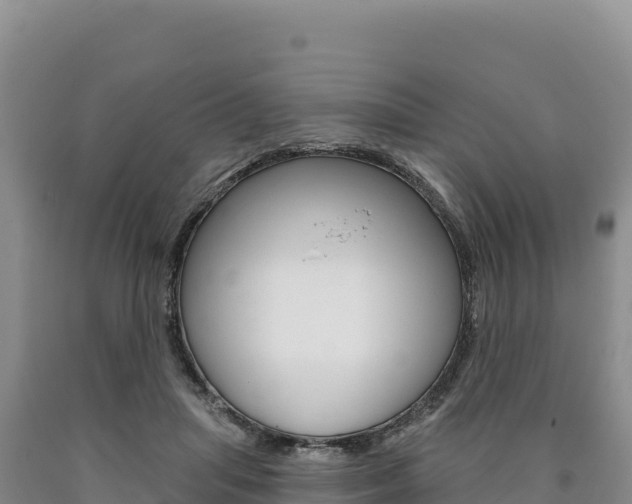 X0000090890455200707271042