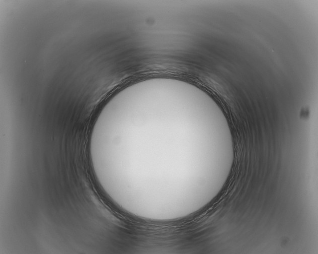 X0000090890456200707271042