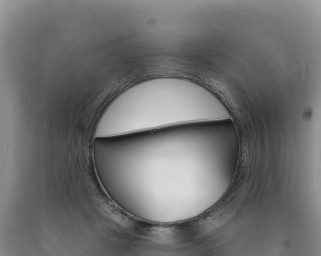 X0000090890457200707271042