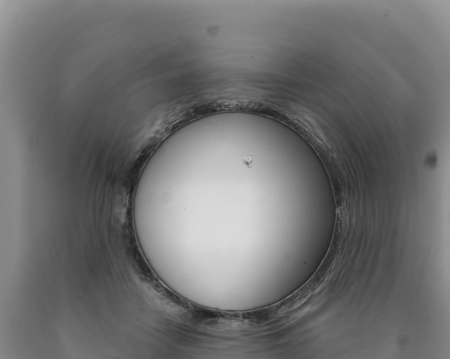 X0000090890458200707271042