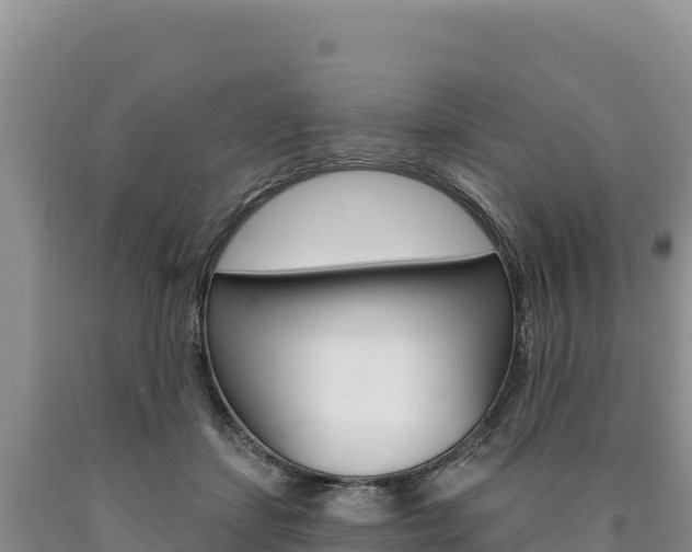 X0000090890459200707271042