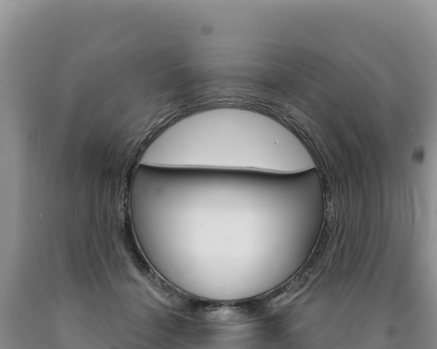 X0000090890460200707271042