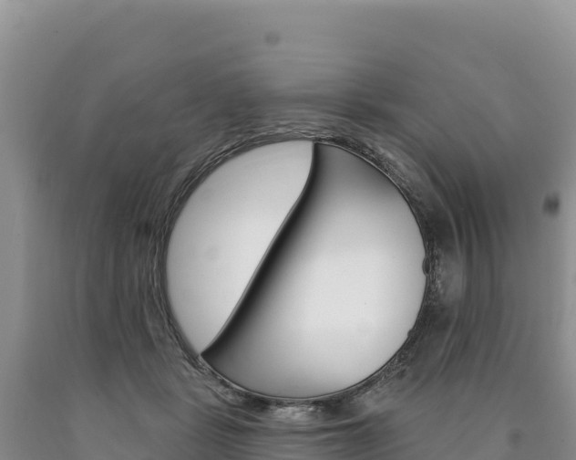 X0000090890461200707271042