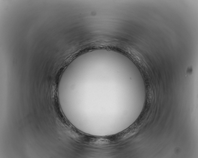 X0000090890463200707271042