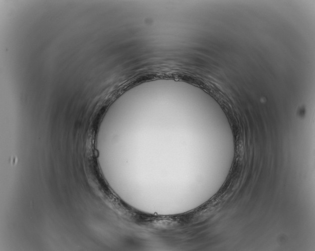 X0000090890468200707271042