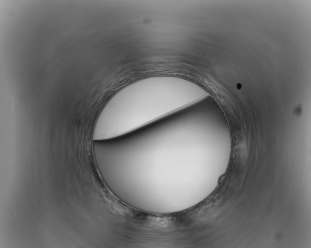 X0000090890469200707271042