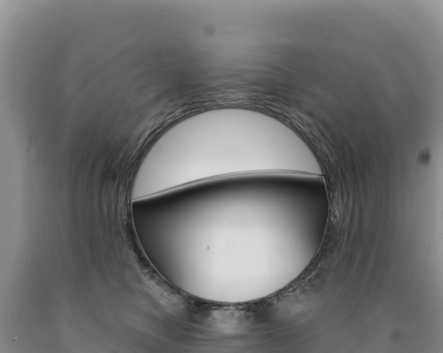 X0000090890470200707271042
