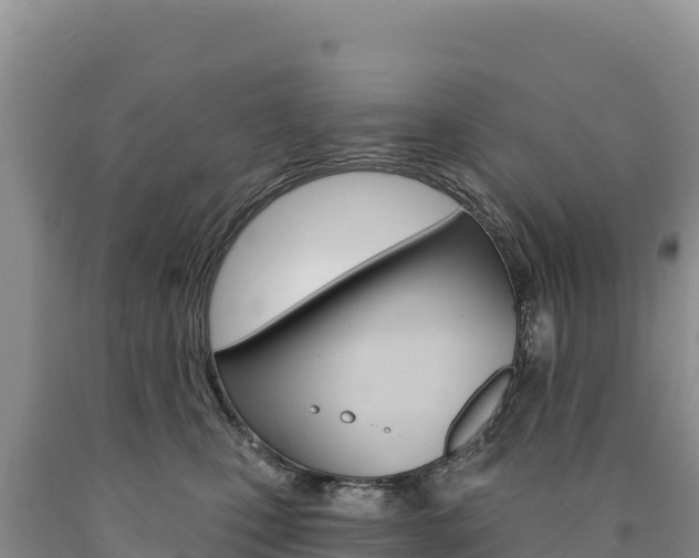 X0000090890471200707271042