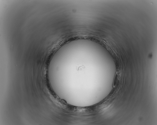 X0000090890472200707271042