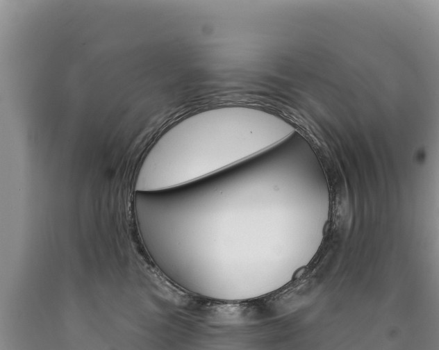 X0000090890473200707271042