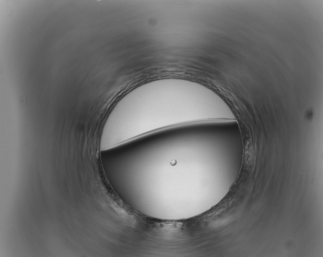 X0000090890474200707271042