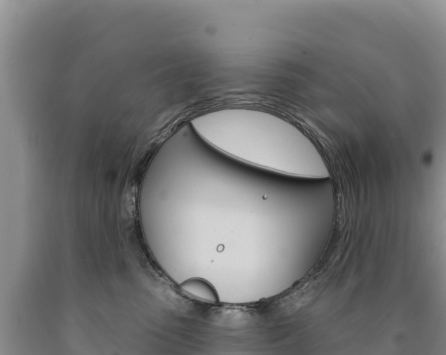 X0000090890475200707271042