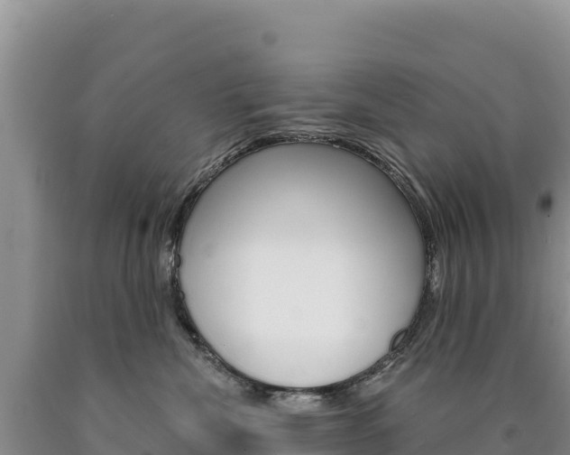 X0000090890476200707271042