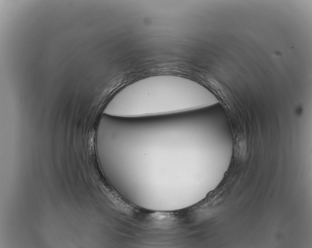 X0000090890477200707271042