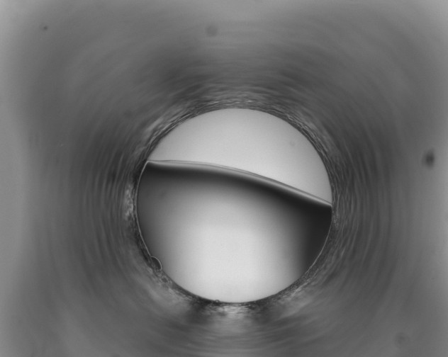 X0000090890478200707271042