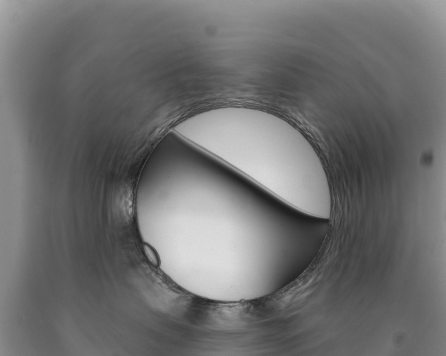 X0000090890479200707271042