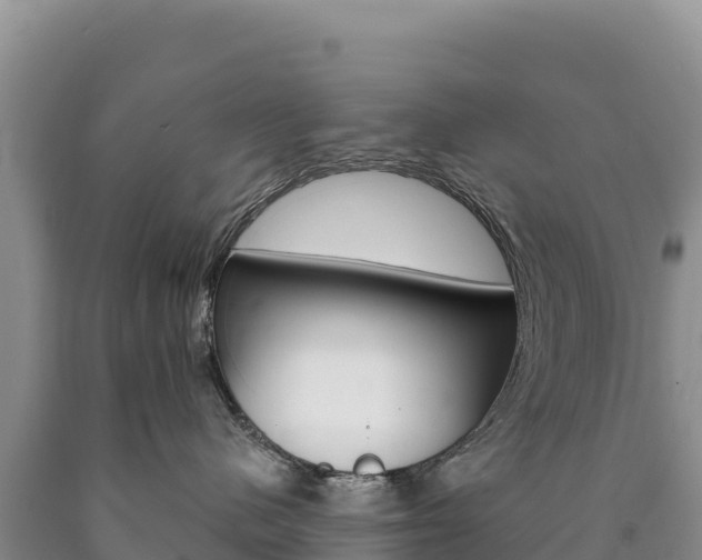 X0000090890480200707271042