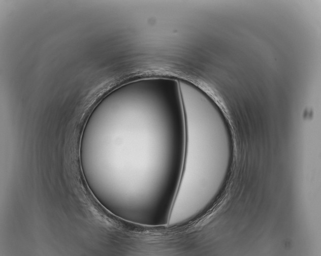 X0000090890481200707271042