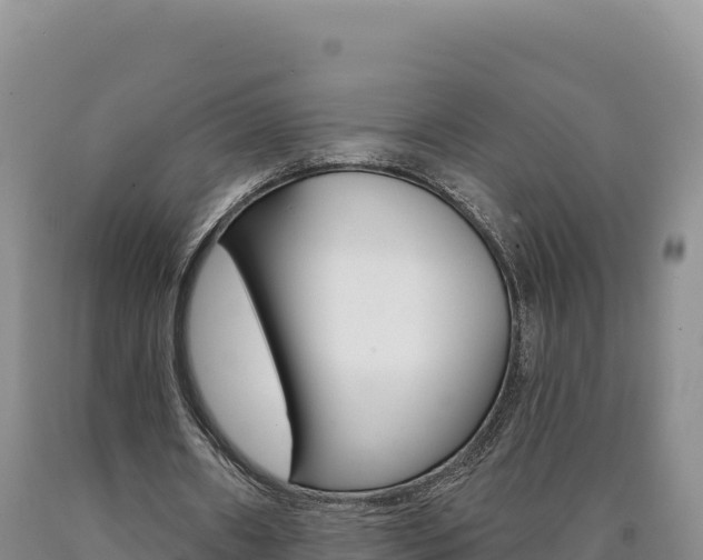 X0000090890482200707271042