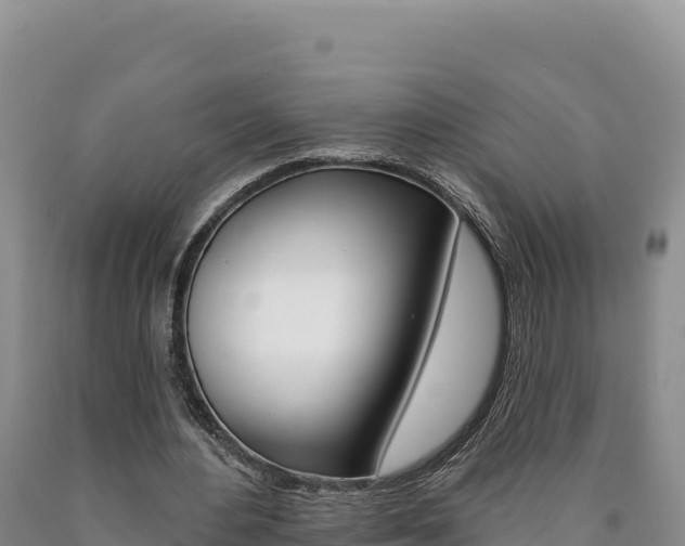 X0000090890484200707271042