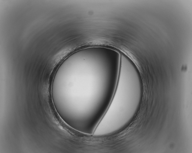 X0000090890485200707271042