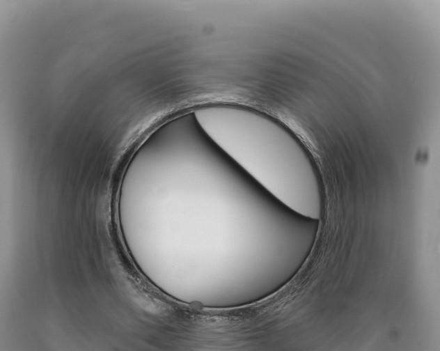 X0000090890486200707271042