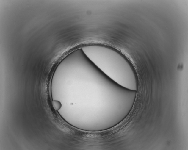 X0000090890487200707271042