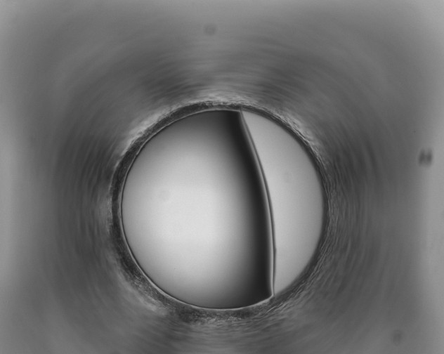 X0000090890488200707271042