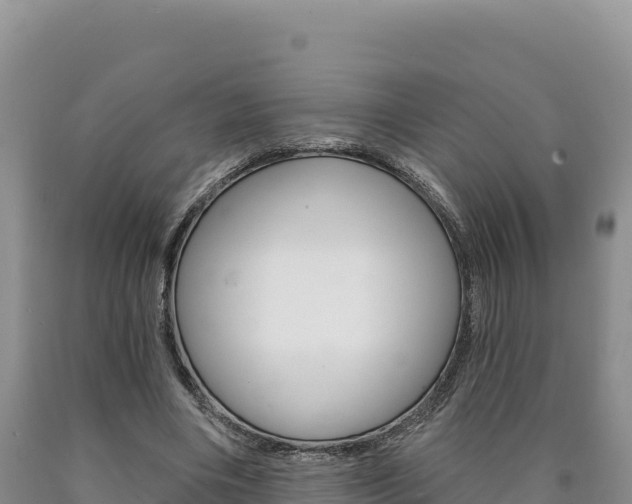 X0000090890490200707271042