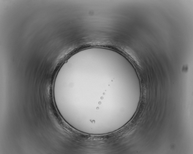 X0000090890491200707271042