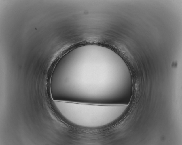 X0000090890492200707271042