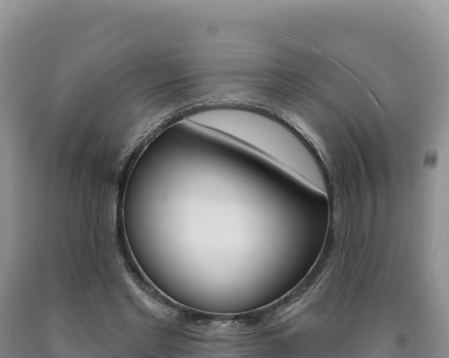 X0000090890493200707271042