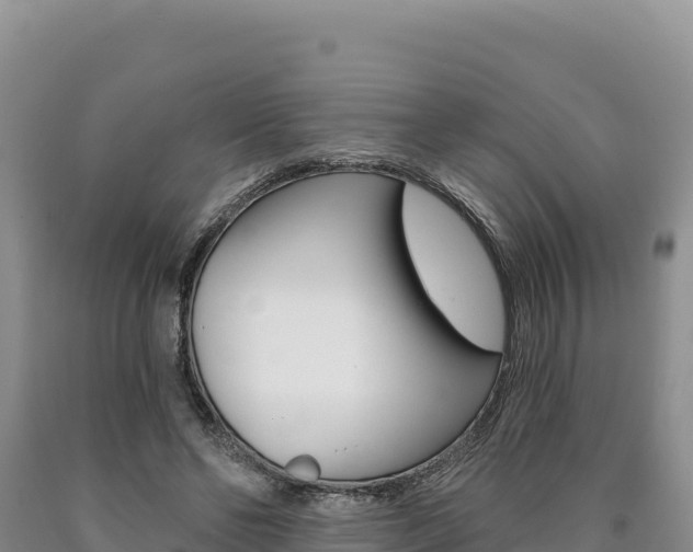 X0000090890494200707271042