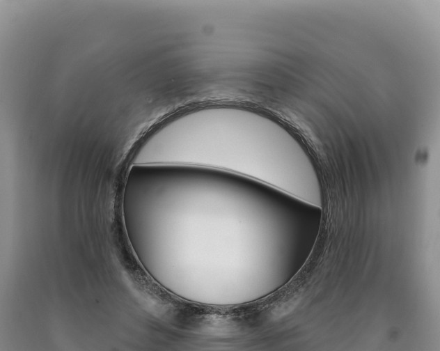 X0000090890496200707271042
